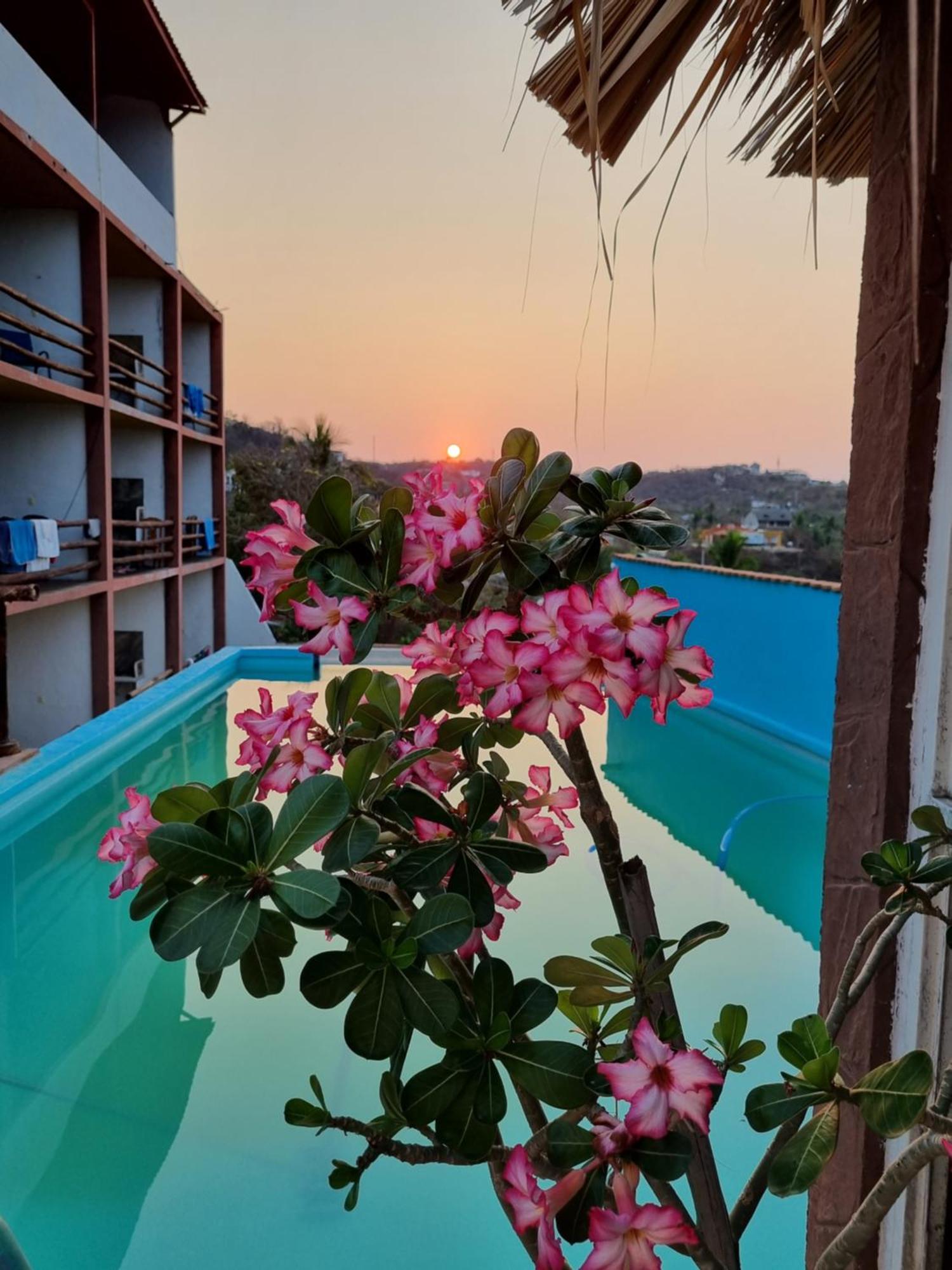 Namaste Zipolite Suites 외부 사진